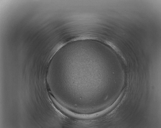 X0000061151185200511241823