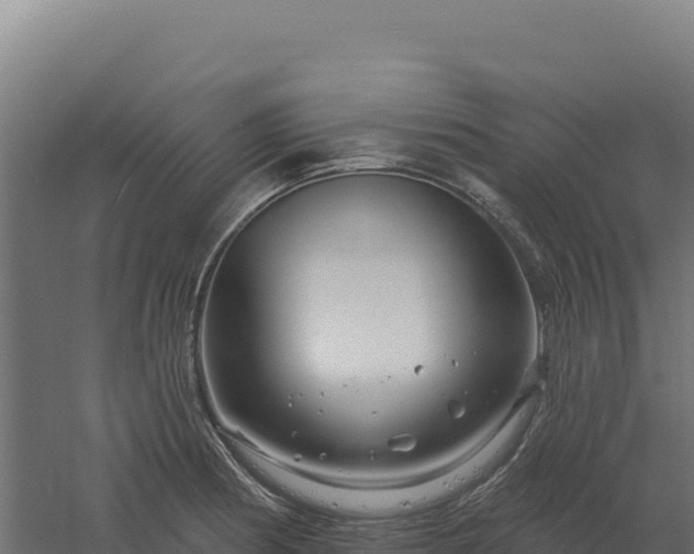 X0000061151186200511241823