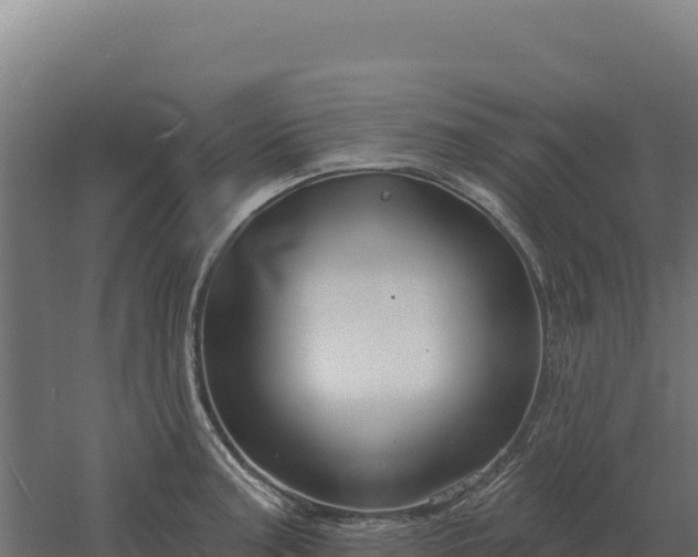 X0000061151187200511241823