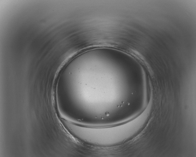 X0000061151188200511241823