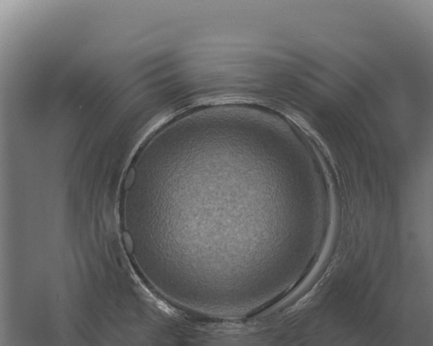 X0000061151189200511241822