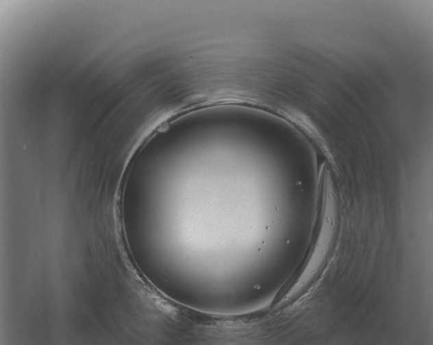 X0000061151190200511241822