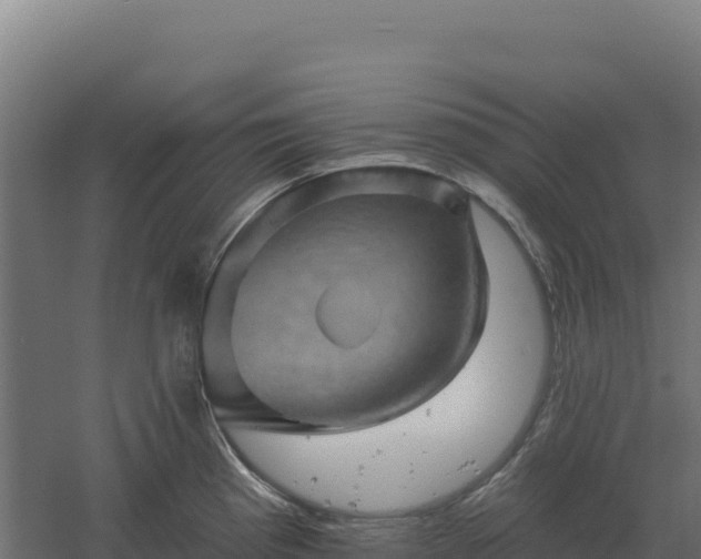 X0000061151193200511241822