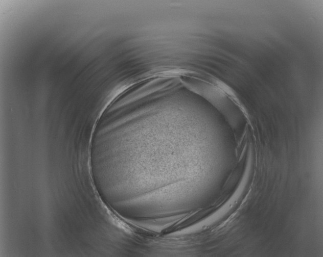 X0000061151194200511241822