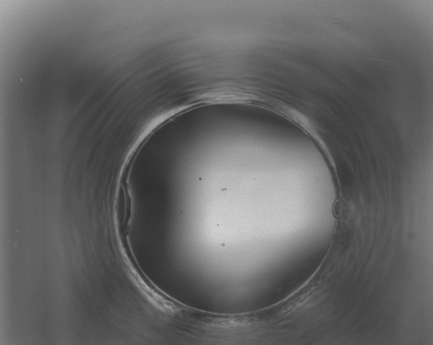 X0000061151195200511241822