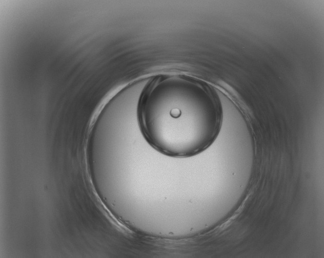 X0000061151196200511241822