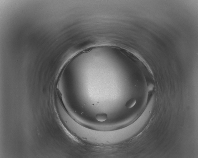 X0000061151197200511241822