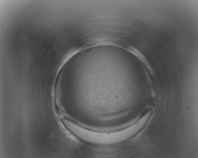 X0000061151198200511241822