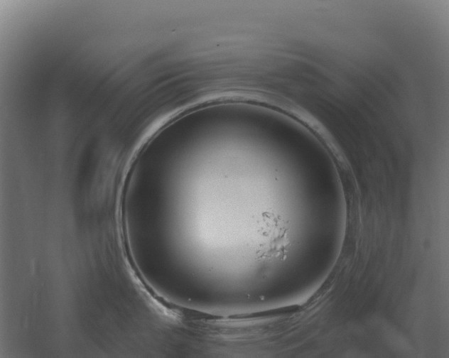 X0000061151199200511241822