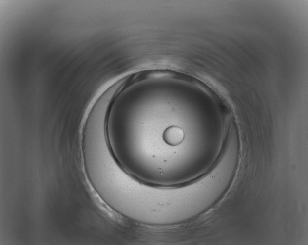 X0000061151200200511241822