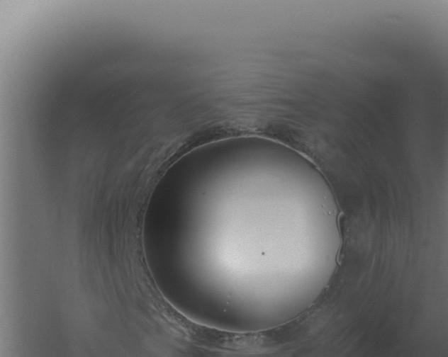 X0000061151201200511241821