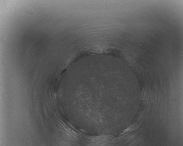 X0000061151202200511241821