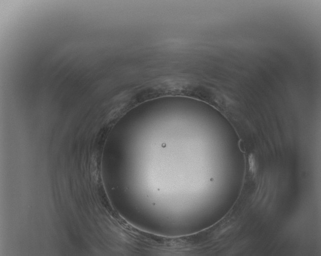 X0000061151203200511241821