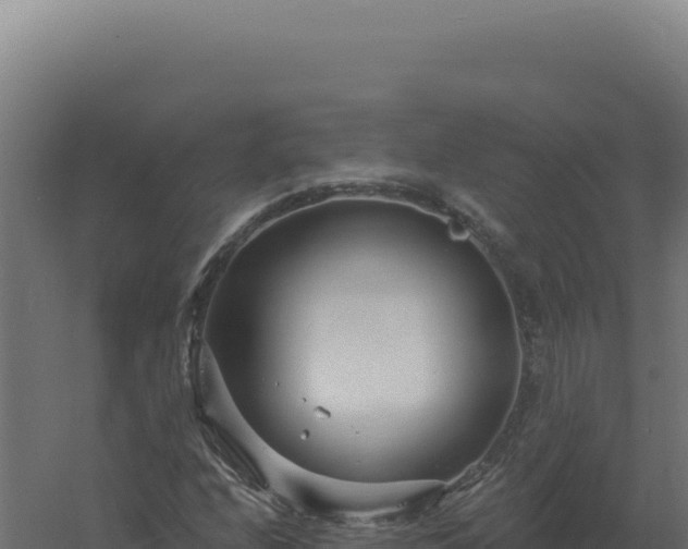 X0000061151208200511241822