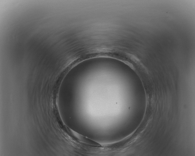 X0000061151209200511241822