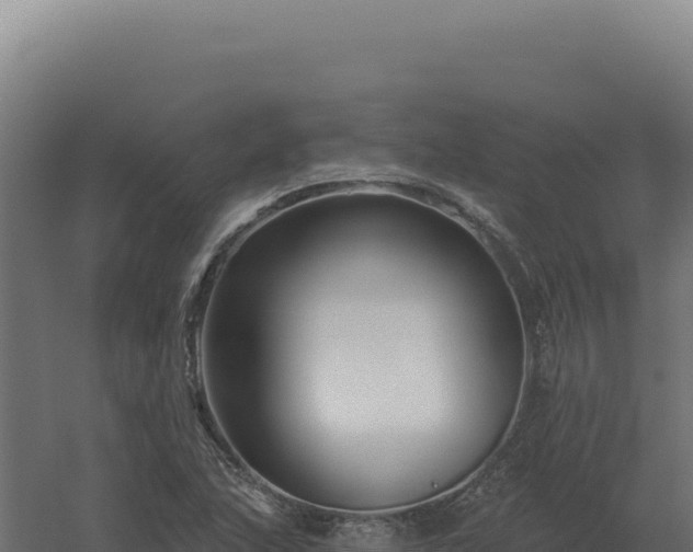 X0000061151215200511241822