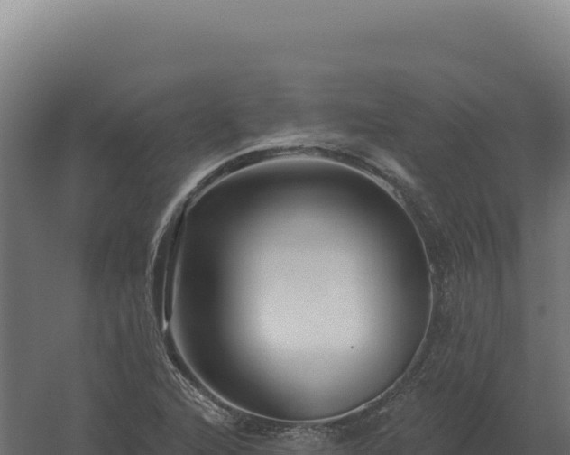 X0000061151216200511241822