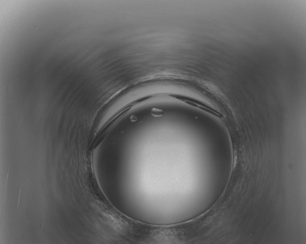 X0000061151217200511241822