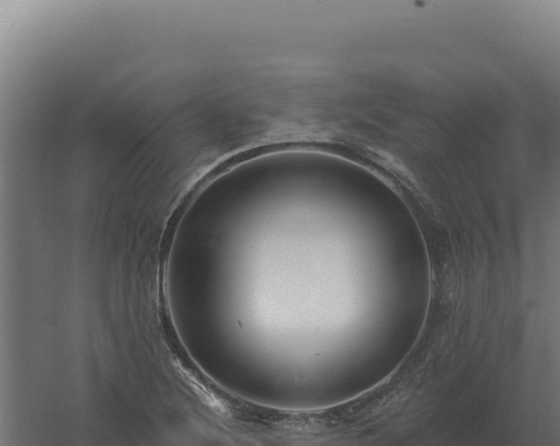 X0000061151220200511241822