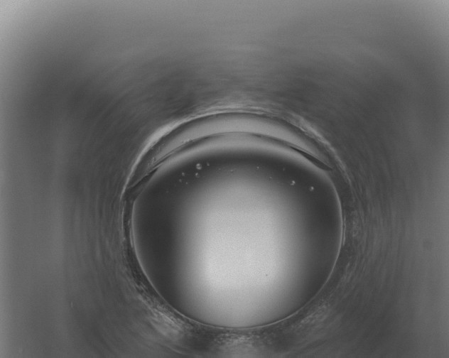 X0000061151222200511241822