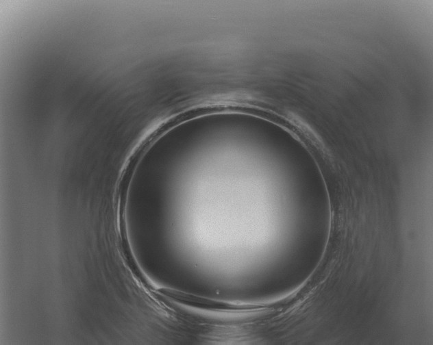 X0000061151224200511241822