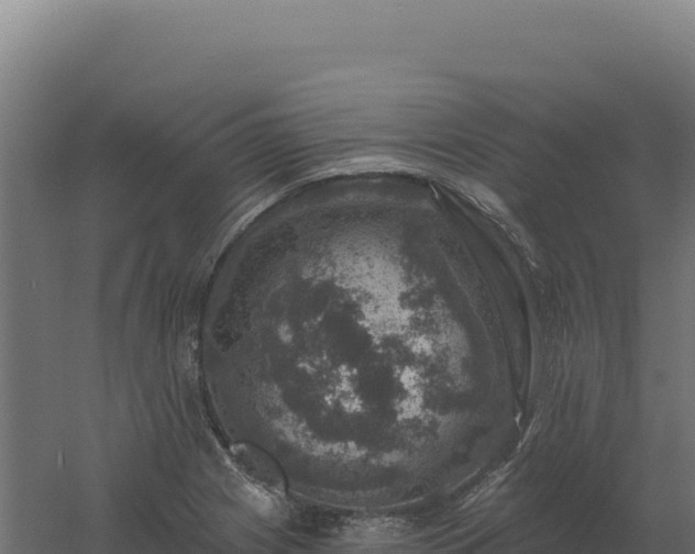 X0000061151225200511241822