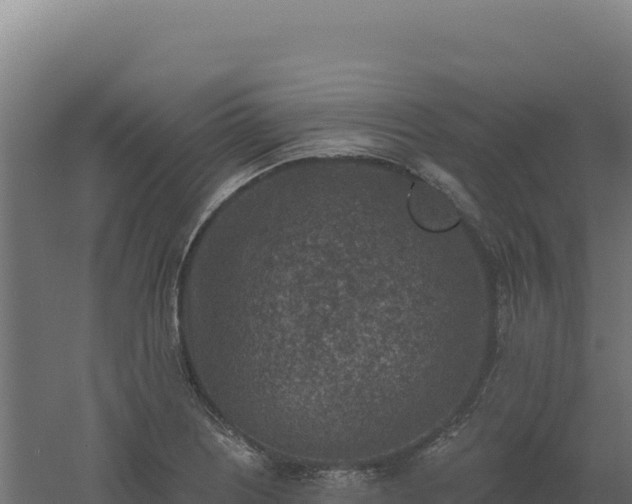 X0000061151226200511241822