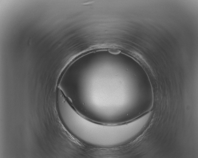 X0000061151228200511241822