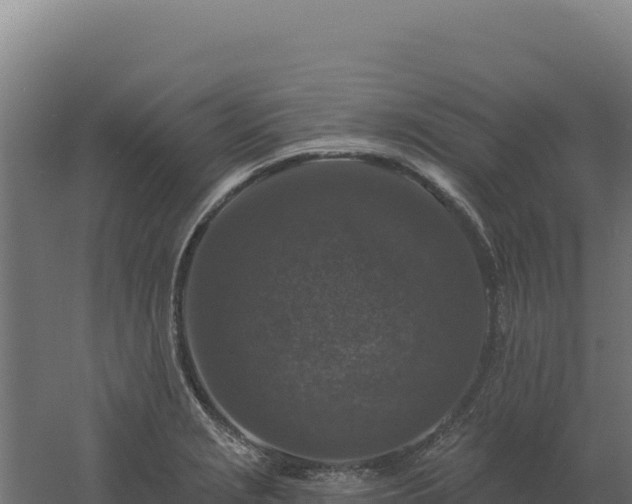 X0000061151229200511241822