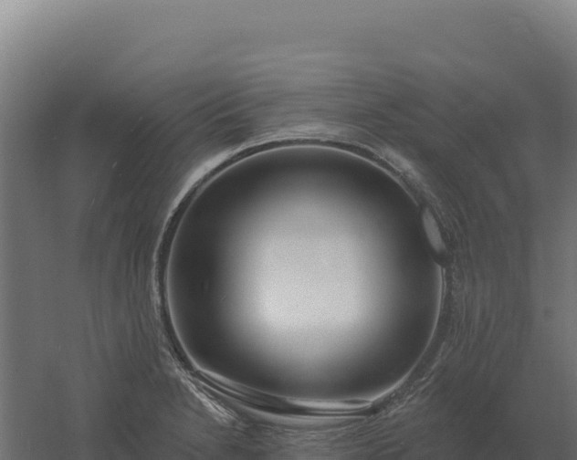 X0000061151230200511241822