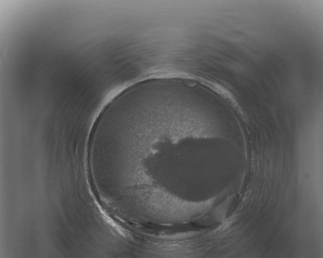 X0000061151231200511241822