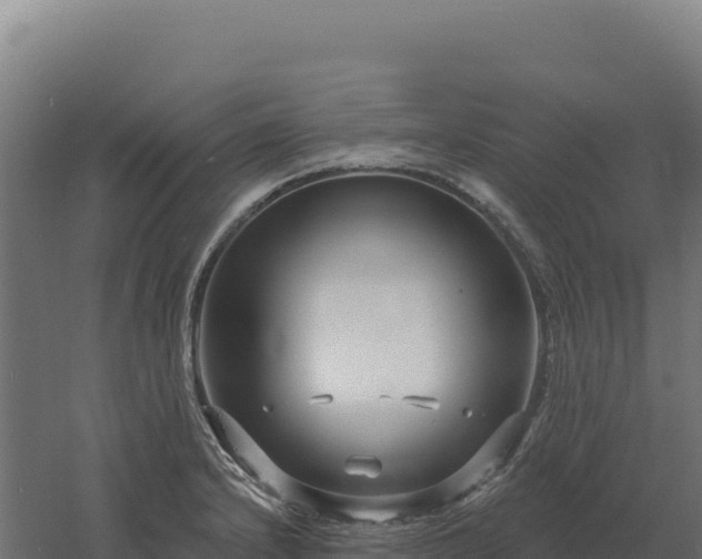 X0000061151232200511241822