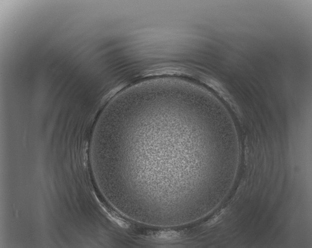 X0000061151233200511241822