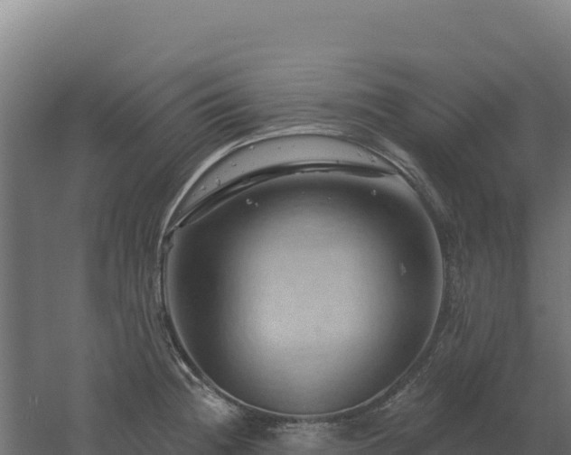 X0000061151236200511241822