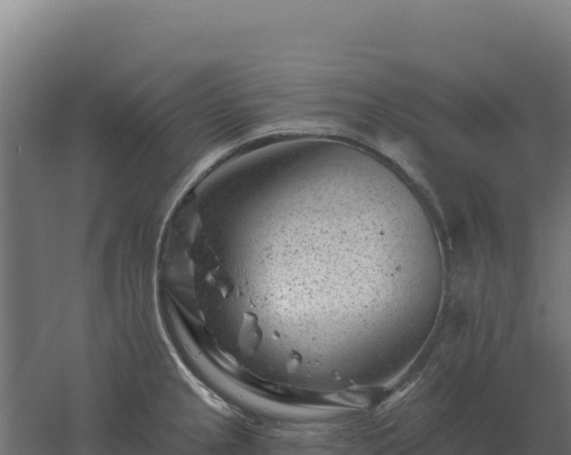 X0000061151237200511241822