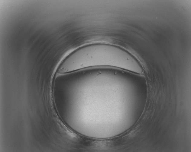 X0000061151240200511241822