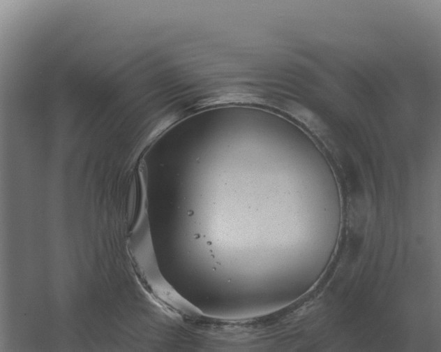 X0000061151241200511241822