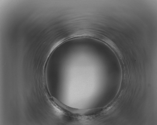 X0000061151242200511241822