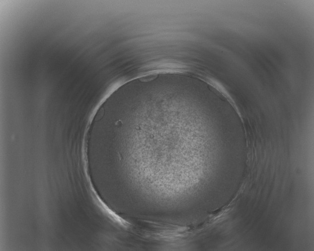 X0000061151243200511241822