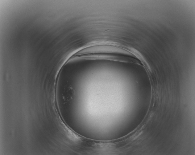 X0000061151244200511241822