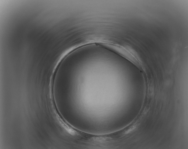 X0000061151246200511241822