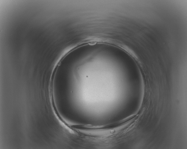 X0000061151247200511241822