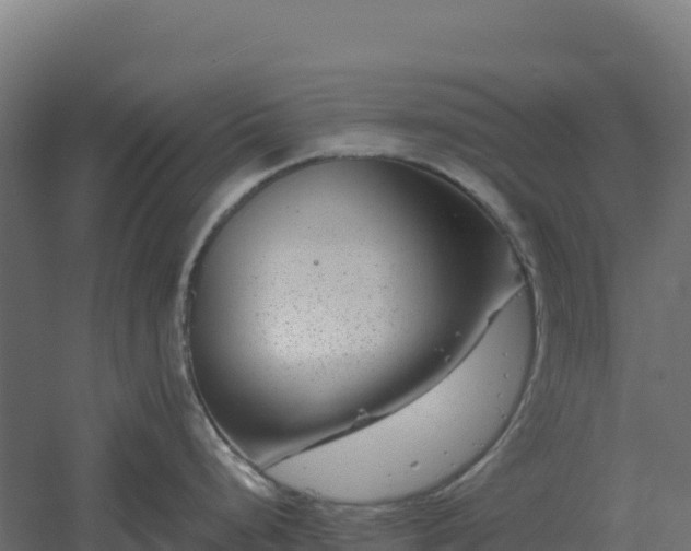 X0000061151248200511241822