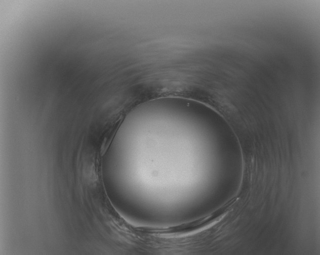 X0000061151250200511241821