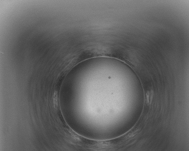 X0000061151251200511241821