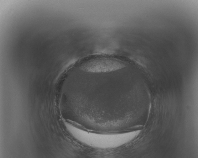 X0000061151254200511241821