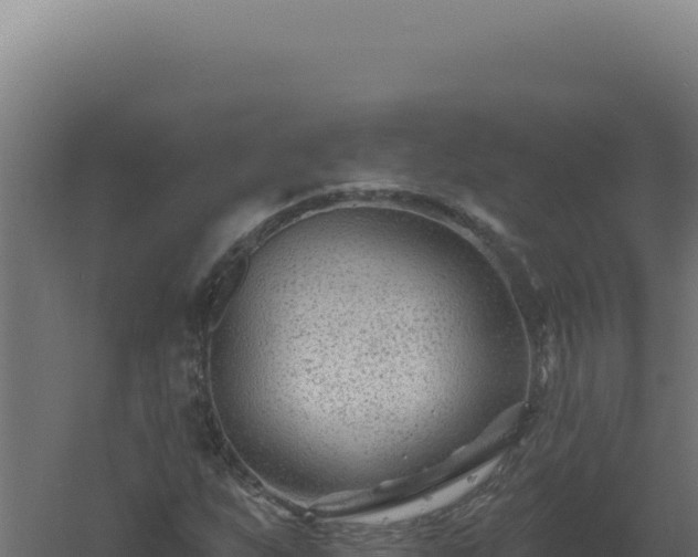 X0000061151255200511241821