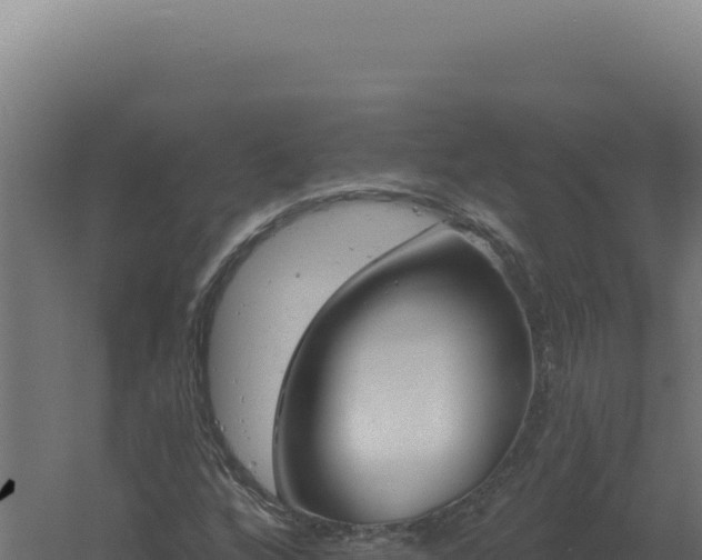 X0000061151256200511241821