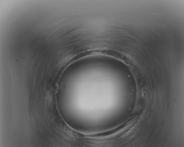 X0000061151257200511241821