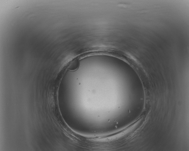 X0000061151259200511241821